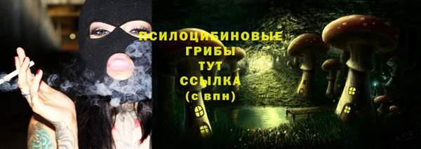 дживик Алзамай