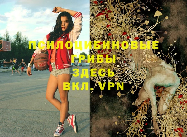 таблы Алексин