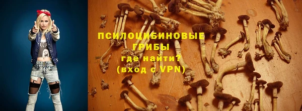 таблы Алексин
